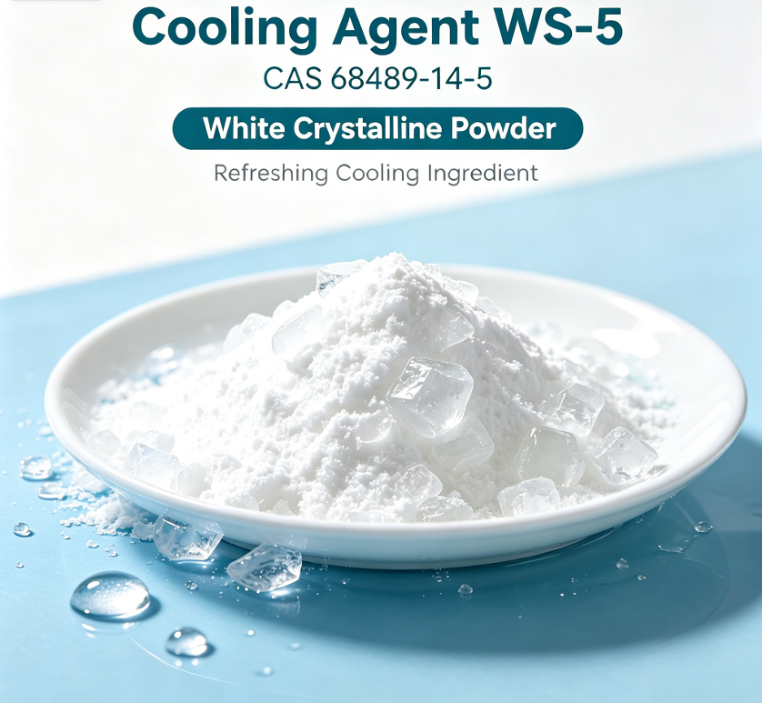 Quality Control Process: How Baisifu Ensures WS-5 Excellence